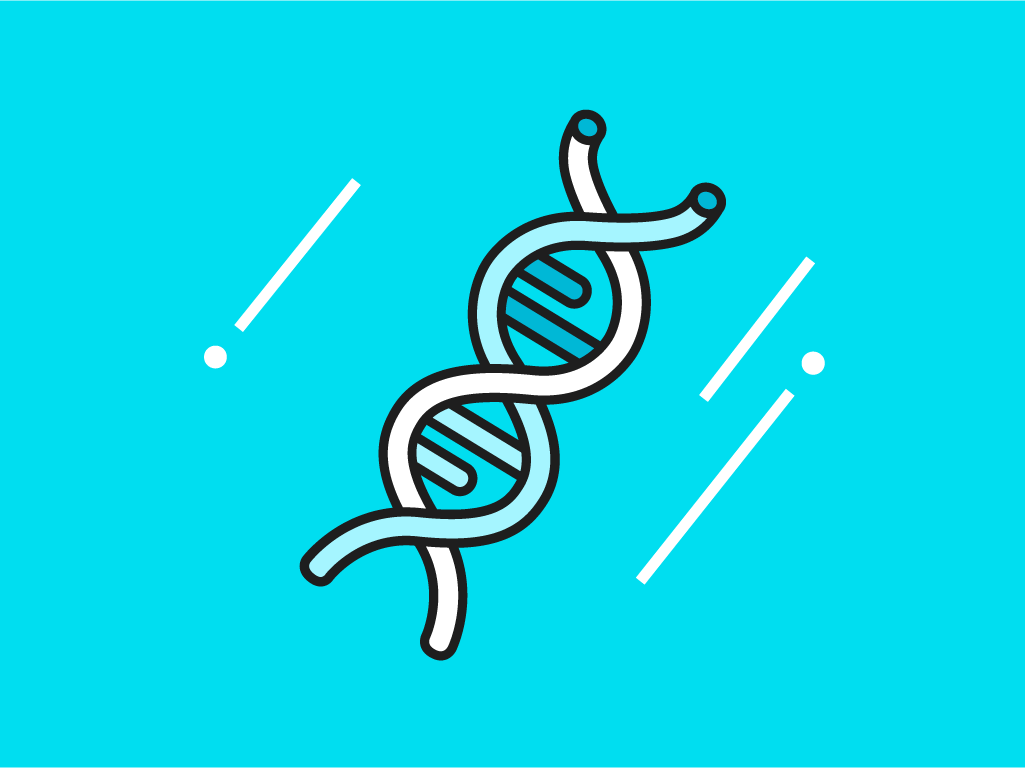 Brand DNA Framework
