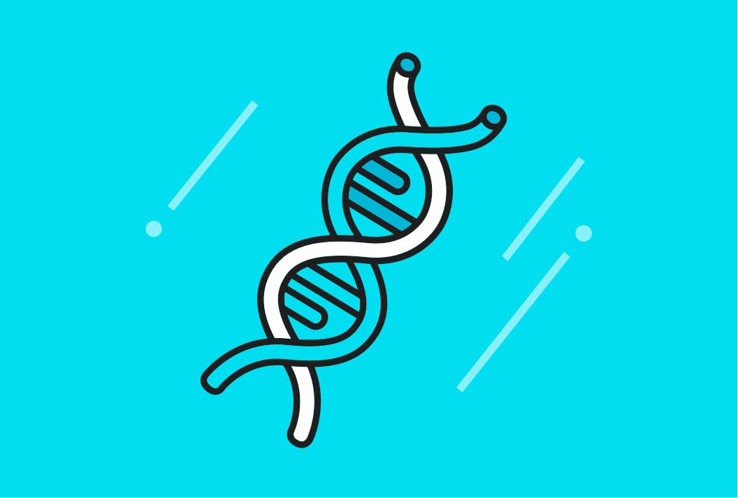 Brand DNA